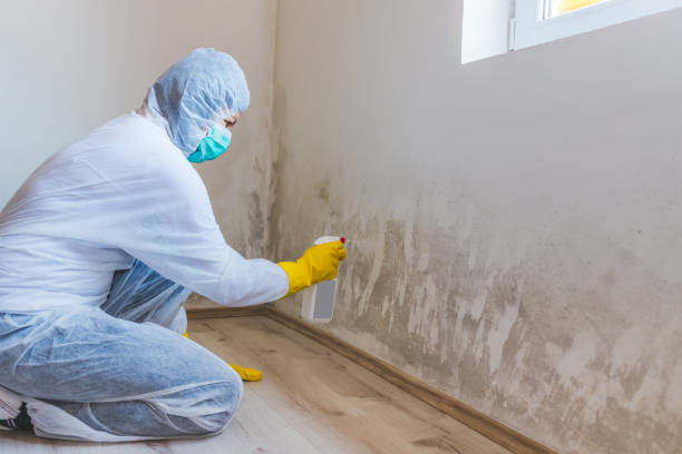 Licensed Commercial Mold Remediation service in Portland, TX - WQB Mold Removal