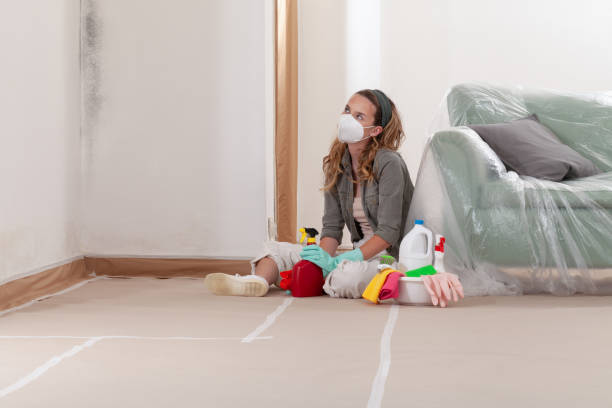 Reliable Commercial Mold Remediation contractor in Portland, TX by WQB Mold Removal